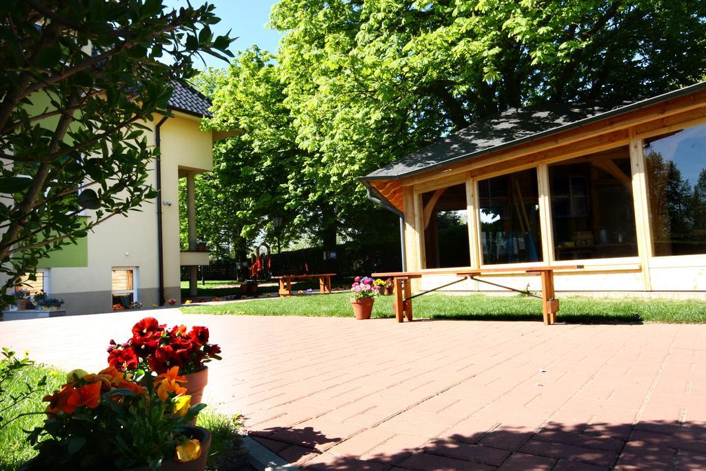 Pensjonat Pod Kasztanami Glogau Exterior foto